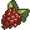 Raspberry