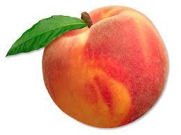 As you enter your second trimester, your baby is the size of a peach.