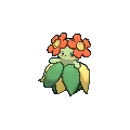 Bellossom
