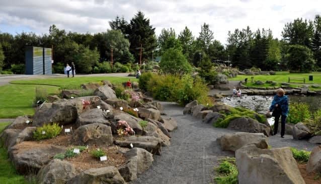 Unwind in Grasagarður Reykjavík Botanical Gardens