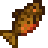 Tiger Trout