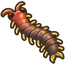Centipede