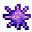 Sea Urchin