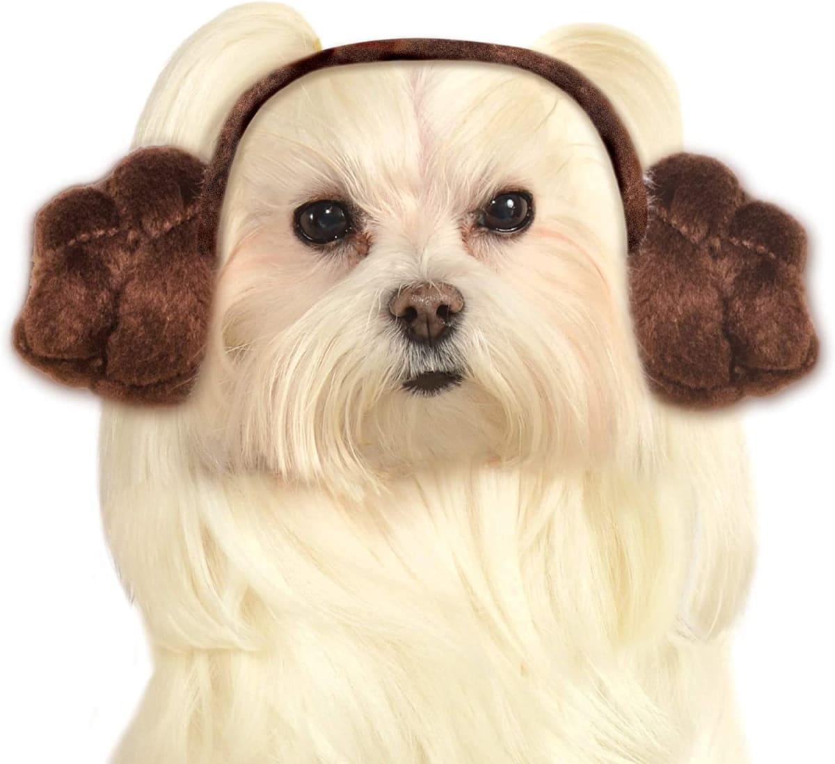 Dog Headband Princess Leia Buns