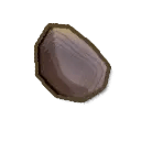 Fresh Water Mussel