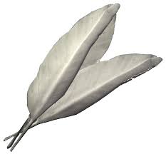 Felsaad Tern Feathers