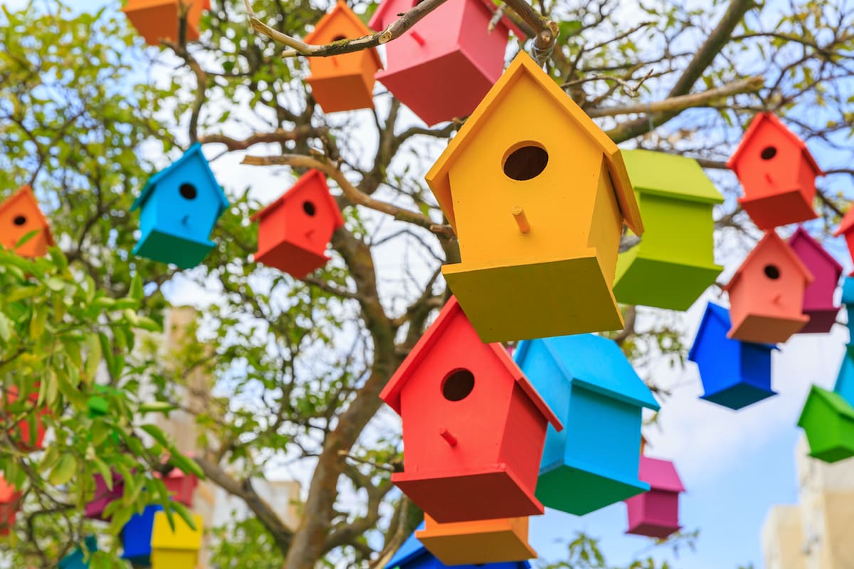 Create and hang birdhouses in a local park or nature reserve
