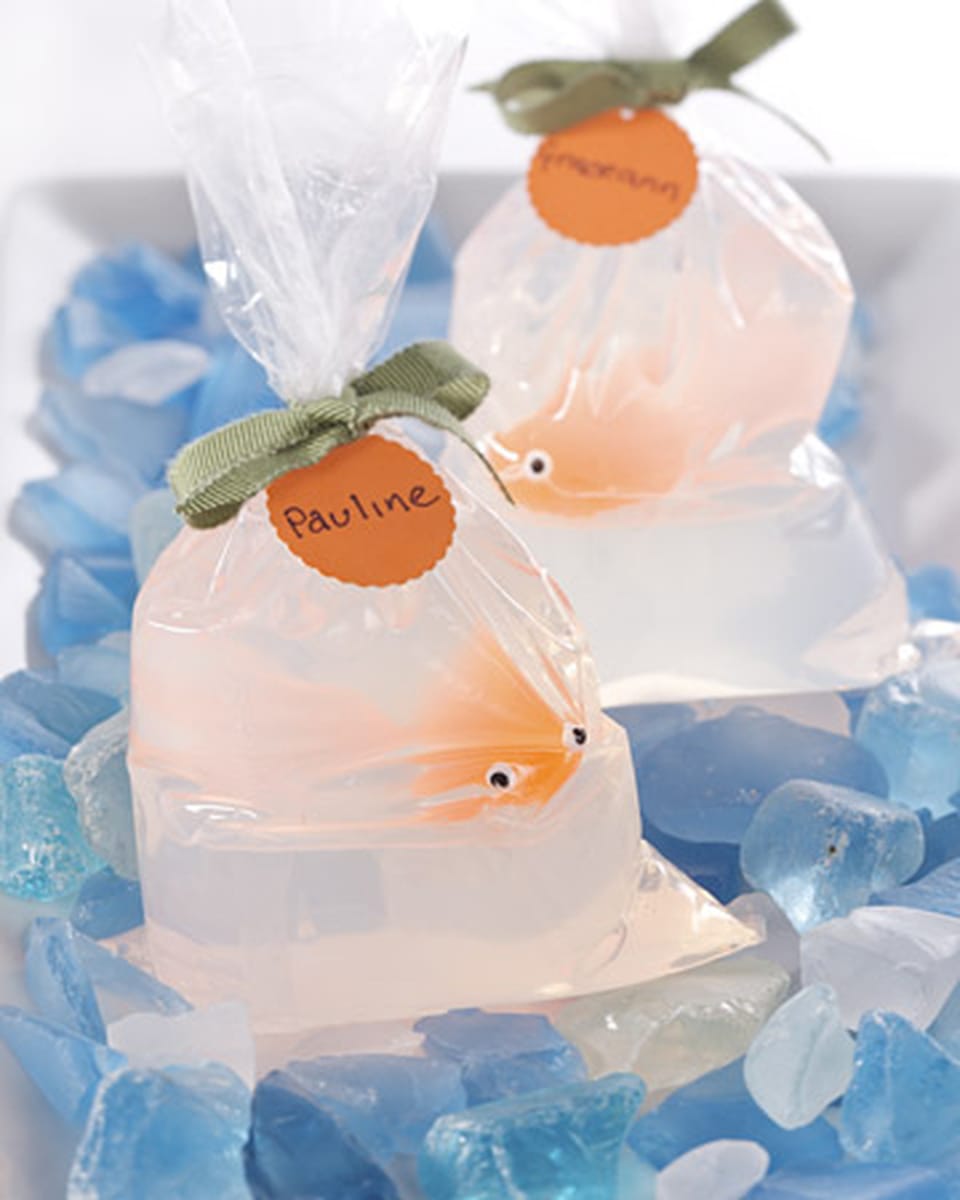Fish-in-a-Bag Soap
