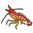 Skink Cleaner Shrimp