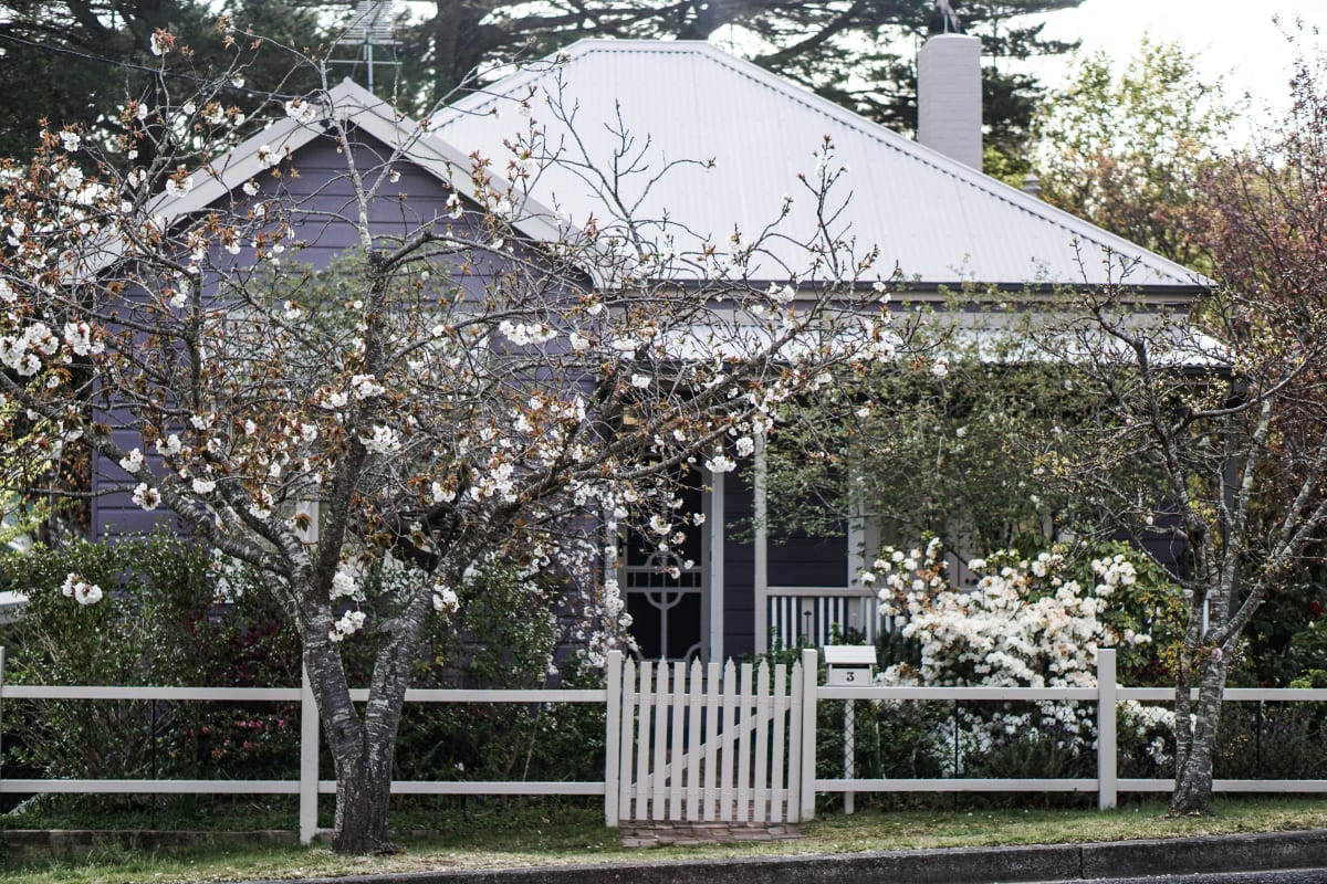 Expert Tips to Refresh your Yard for Spring