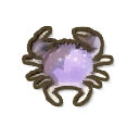 Purple Mottled Crab