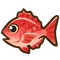 Red Snapper