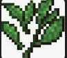 Tea Leaves