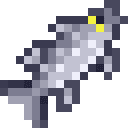 Robalo