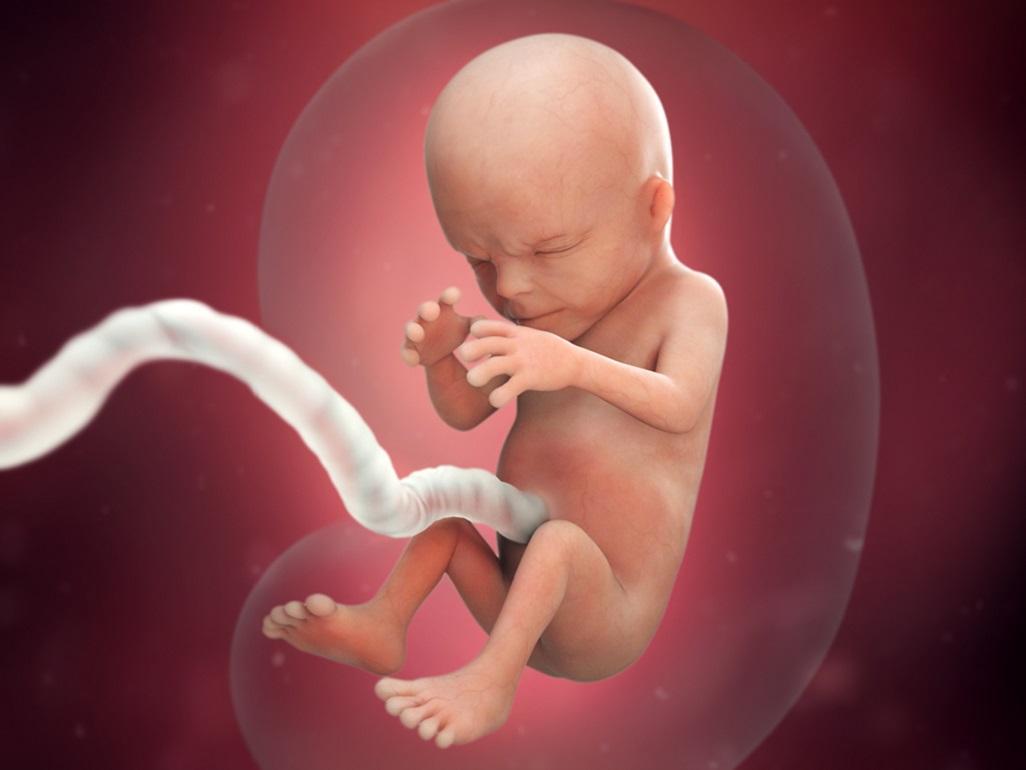 Baby's probably thumb sucking and wiggling his or her toes in there