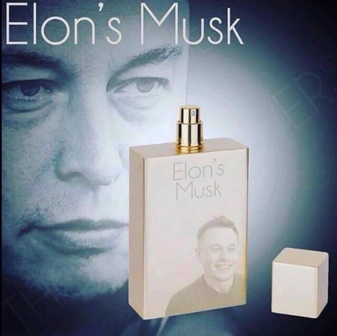 Elon’s Musk