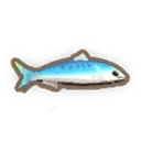 Anchovy