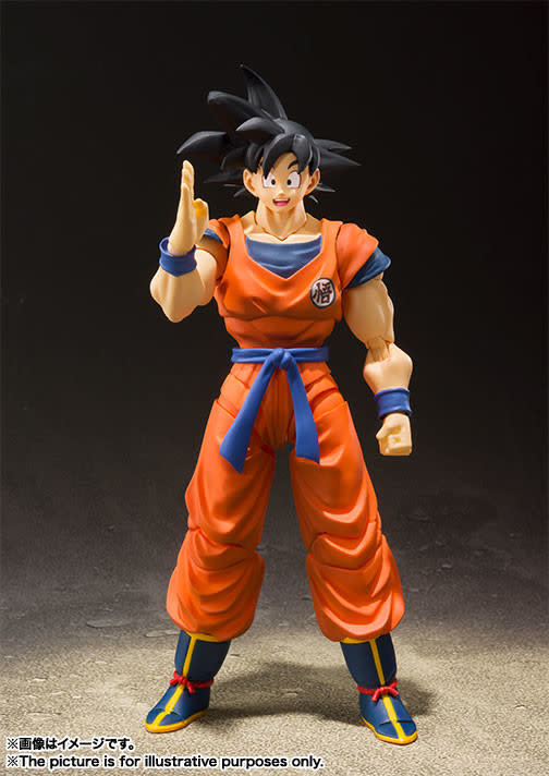 Son Goku - A Saiyan Raised On Earth