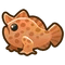 Frogfish