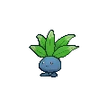 Oddish