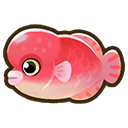Asian Sheepshead