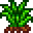 Grass Starter