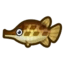 Gar