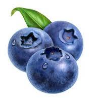 Your baby is now about the size of a small blueberry.