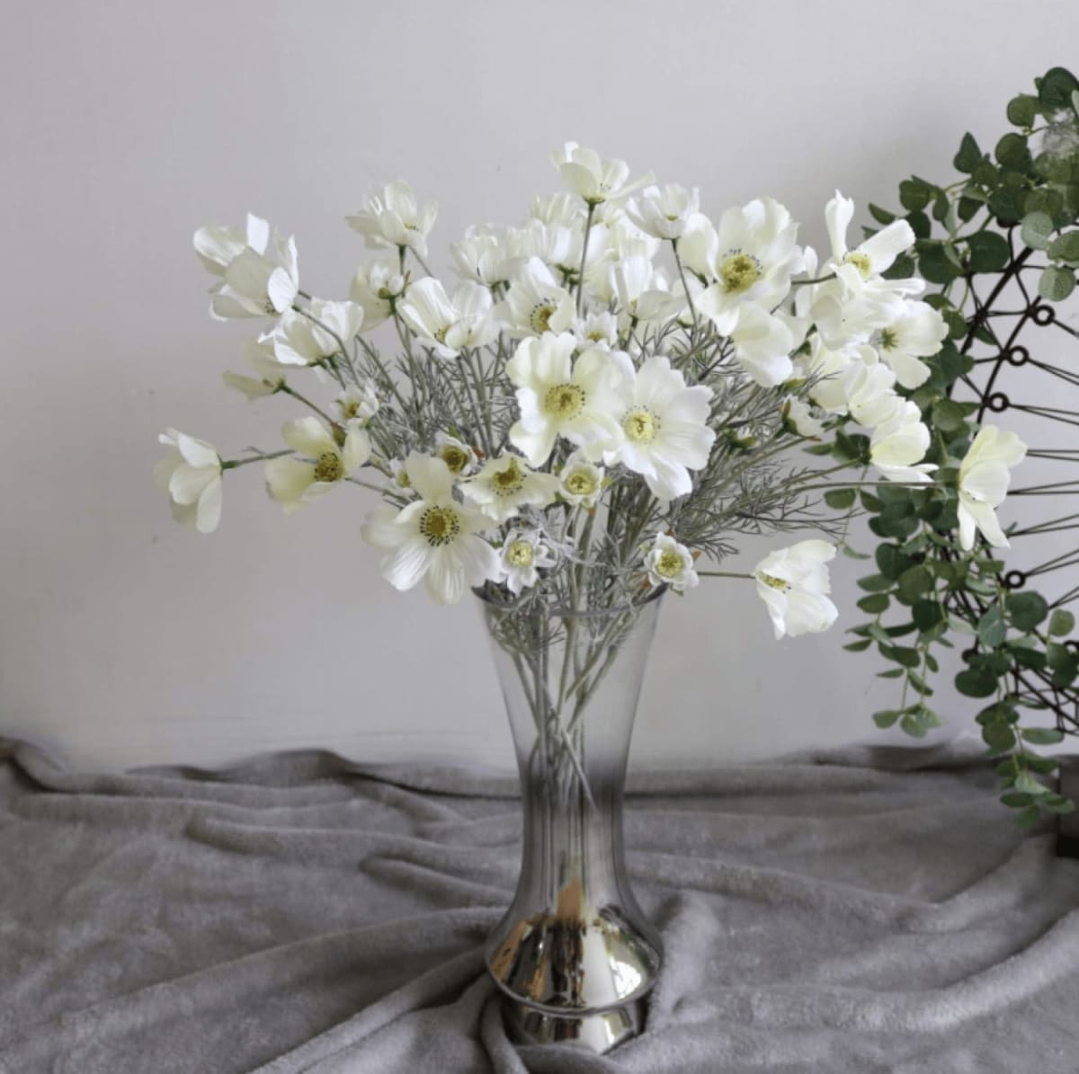 Cosmos Long Stems