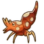 Sexy Shrimp