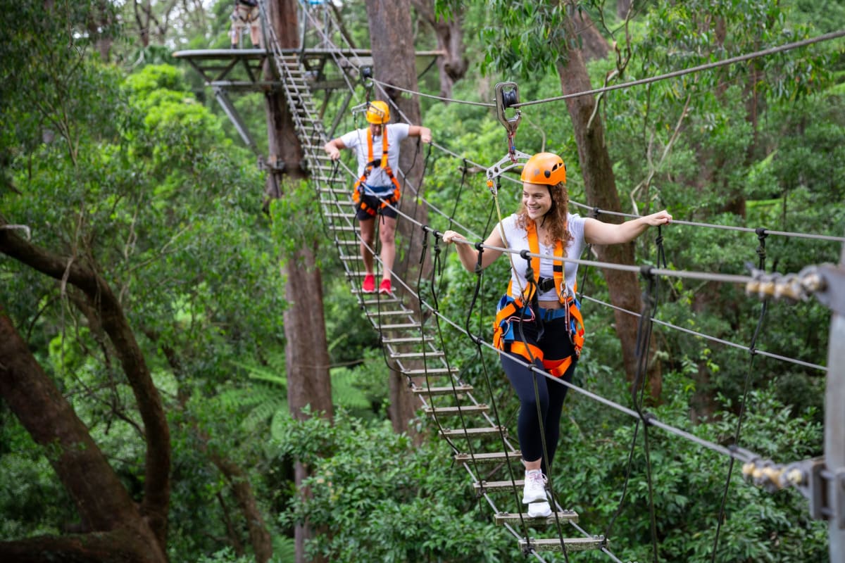 Zip lining in the Illawarra Fly Treetop Walk