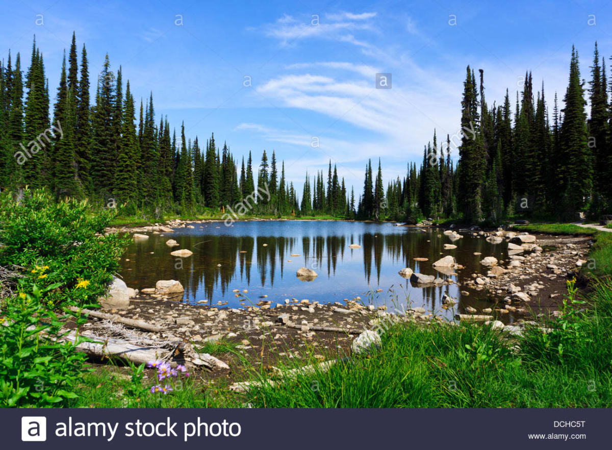 Mount Revelstoke National Park