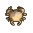 Inland Crab