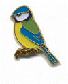 Blue Tit 1