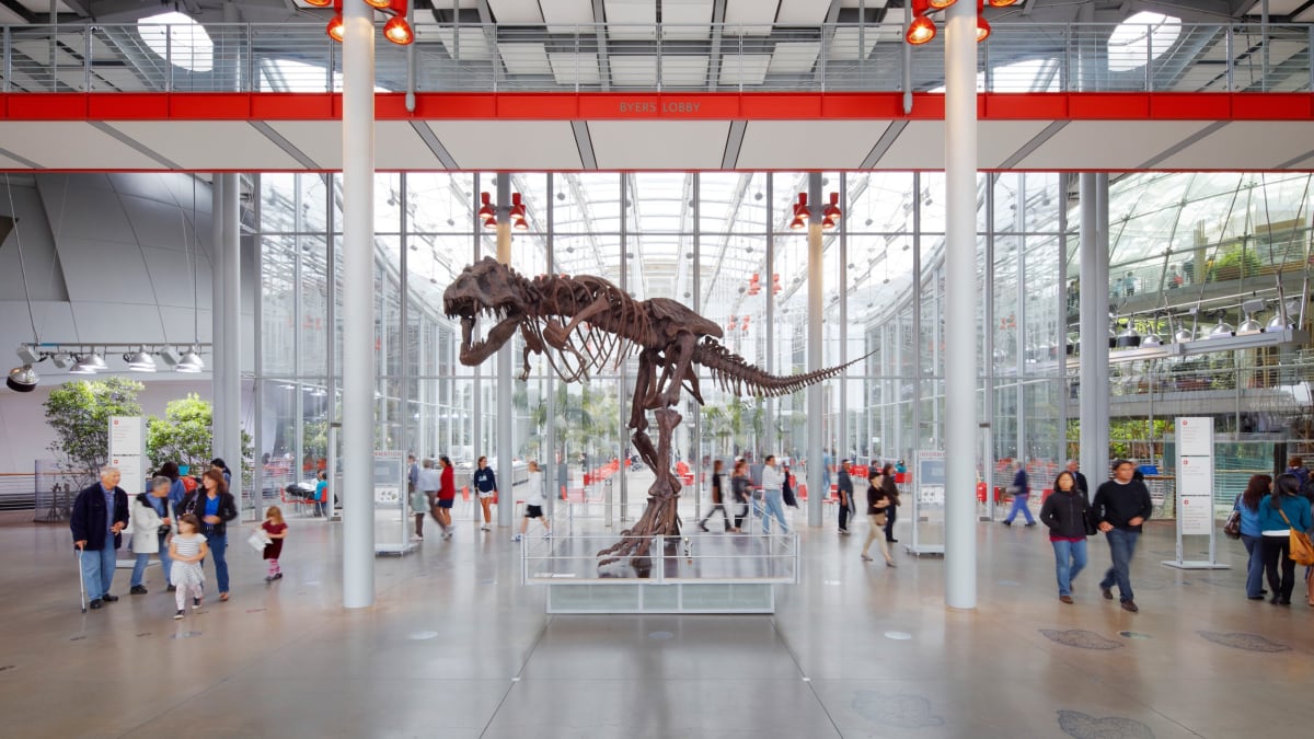 California Academy of Sciences