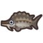 Sturgeon