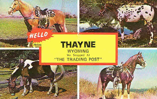 Ready to Ride Thayne Wyoming Horses