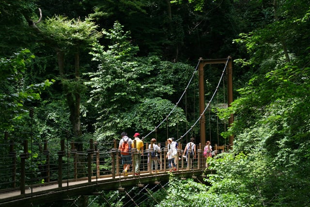 Mount Takao