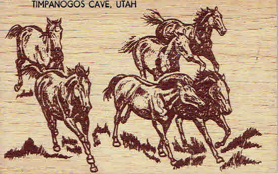 Timpanogas Cave Horses Wood