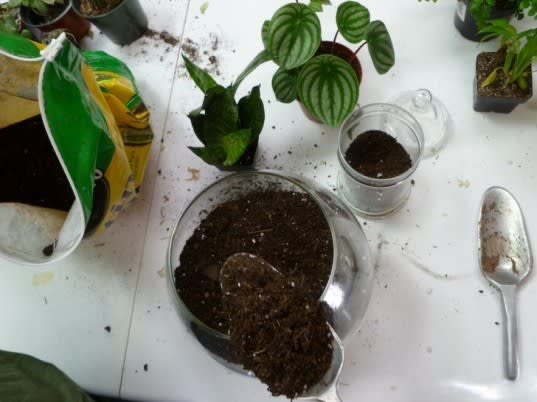 STEP 4: Add soil