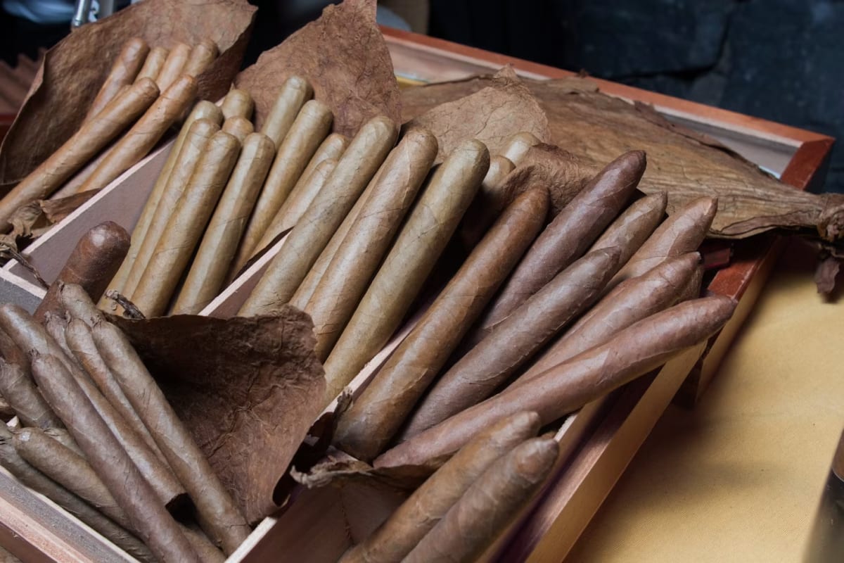2. The Strength Comes from the Leaf Type and Curing