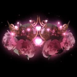 Divine Adoration 💛 Everfriend Halo 2024