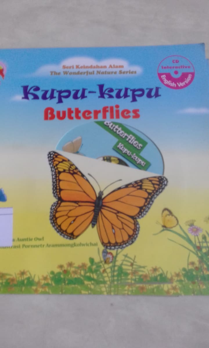KUPU-KUPU BUTTERFLIES