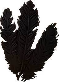Hagraven Feathers