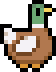 Mallard