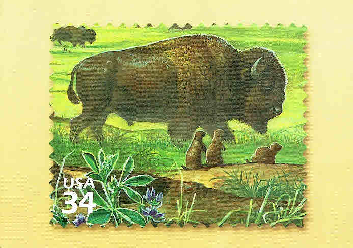 Bison 43¢ Stamp