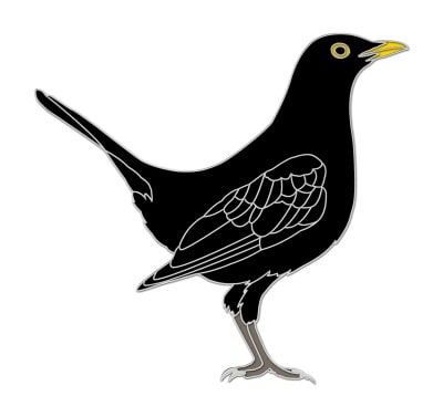 Blackbird 2