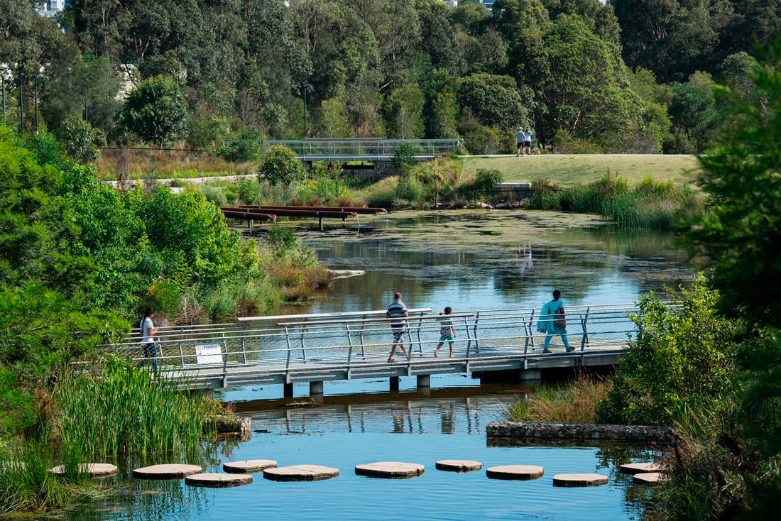Join a park conservation program and help maintain Sydney's parks and natural areas.