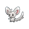 Minccino