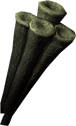 Giant Lichen